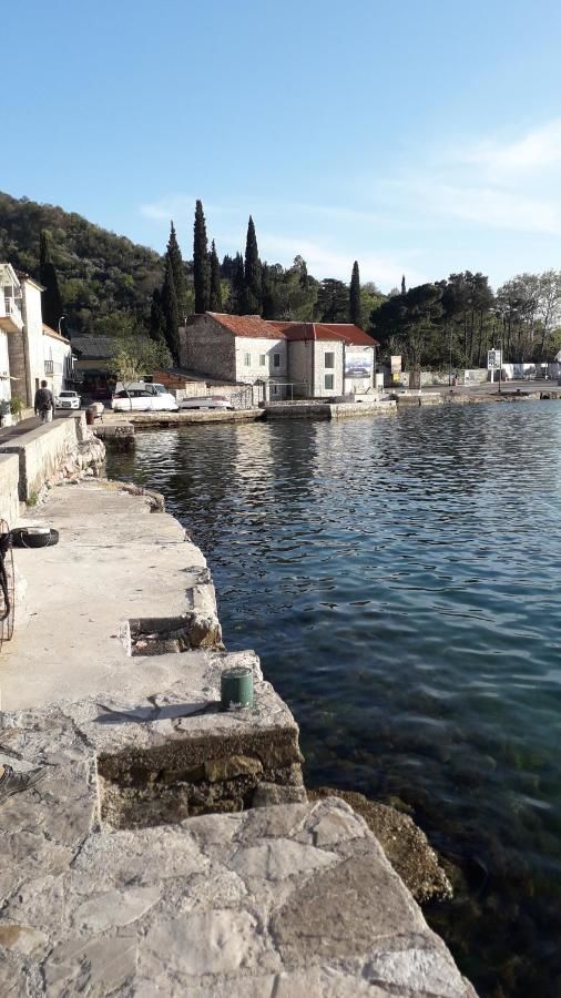 Апартаменты Apartments Vučinović Тиват