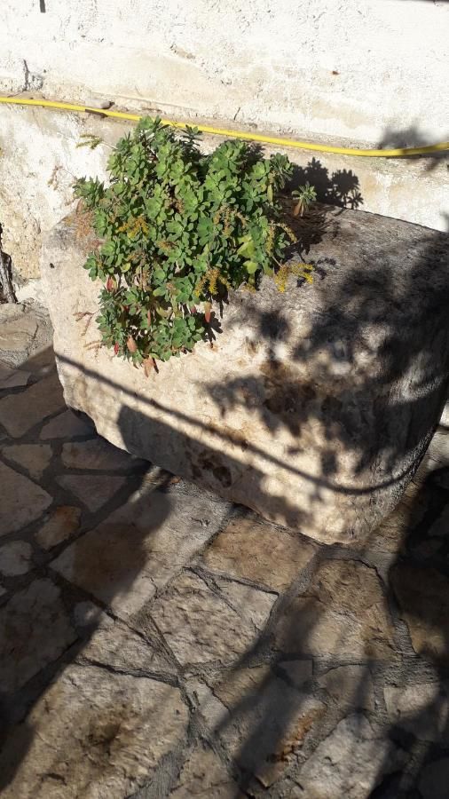 Апартаменты Apartments Vučinović Тиват