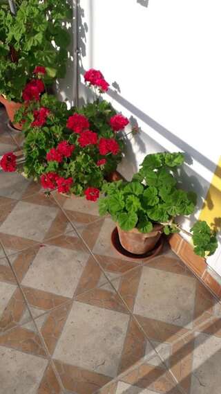 Апартаменты Apartments Vučinović Тиват Номер-студио с балконом и видом на море-13