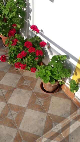 Апартаменты Apartments Vučinović Тиват Номер-студио с балконом и видом на море-42